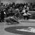 1967 2 Lull v Banks W 2.jpg